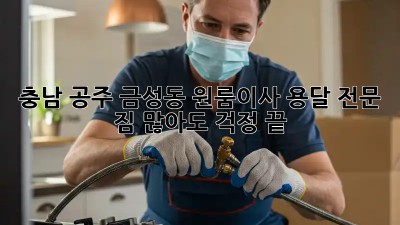 충남 공주 금성동 원룸이사 용달 전문: 짐 많아도 걱정 끝! ✨
